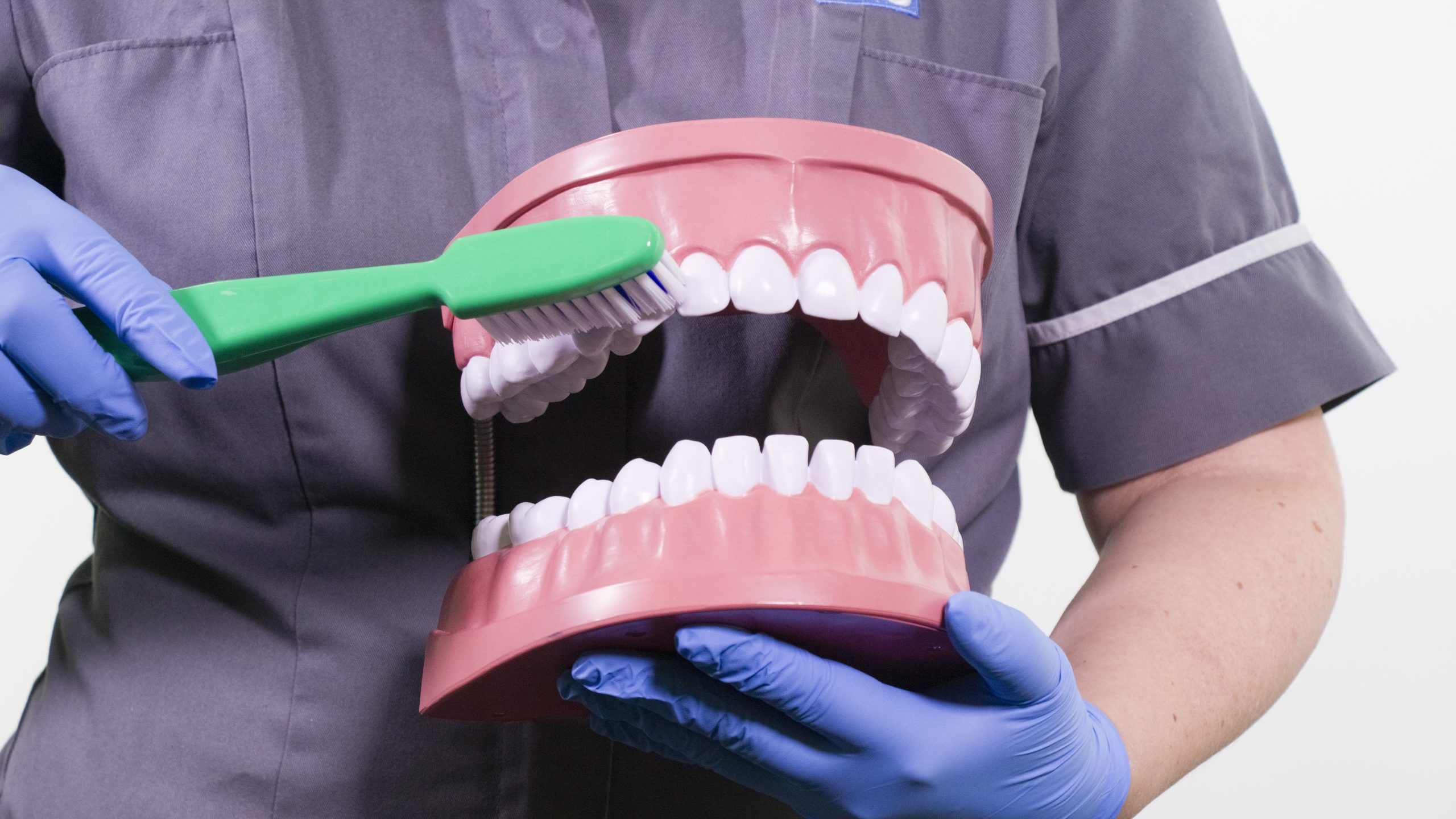 An image of a clinical member of staff brushing teeth